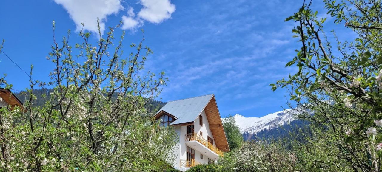 The Wooden Chalet, Manali Zewnętrze zdjęcie